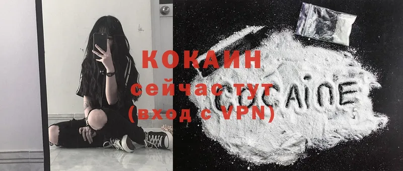 мега   как найти наркотики  Олонец  Cocaine 98% 